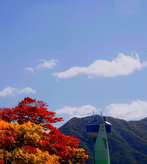 5 Steps to Effectively Adjust Your Financial Goals and Stay on Track 5 Steps to Effectively Adjust Your Financial Goals and Stay on Track