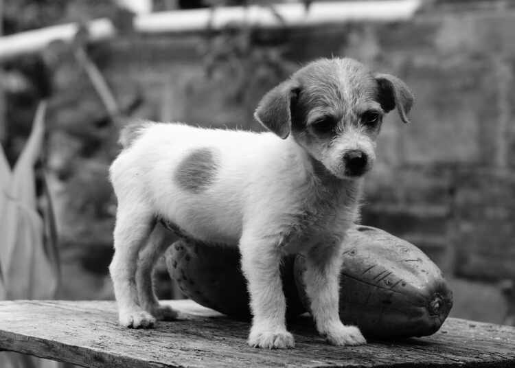 5 Surprising Ways Your Savings Account Affects Your Credit Score