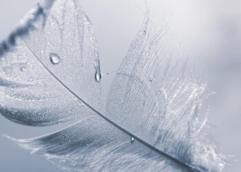 5 Ways to Strengthen a Thin Credit File and Unlock Better Financial Opportunities