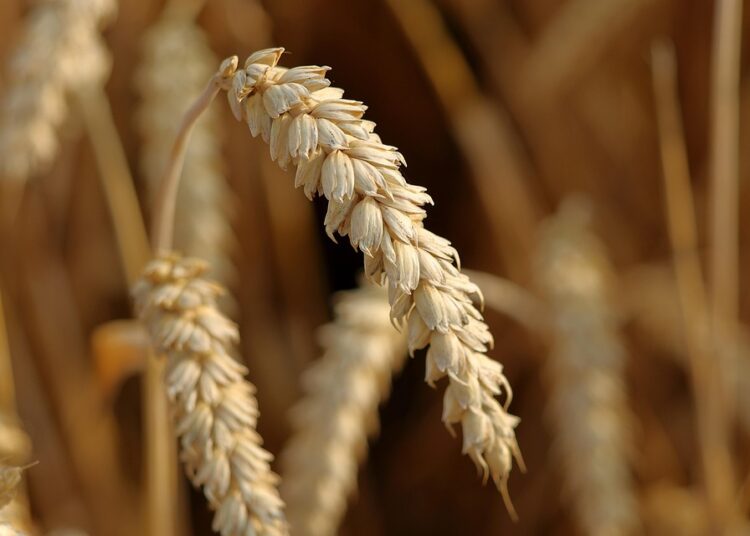 7 Common Mistakes New Dividend Investors Make (And How to Avoid Them)