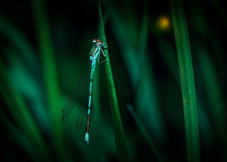 7 Effective Strategies to Build Credit with a Thin File and Unlock Financial Opportunities 7 Effective Strategies to Build Credit with a Thin File and Unlock Financial Opportunities