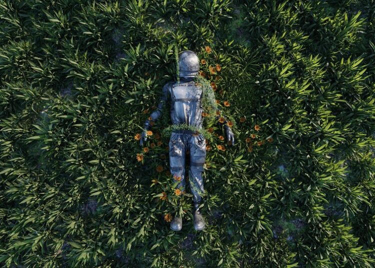 7 Essential Steps on How to Create an NFT That Sells