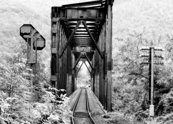 7 Essential Tools for Tracking Your Progress Toward Financial Independence