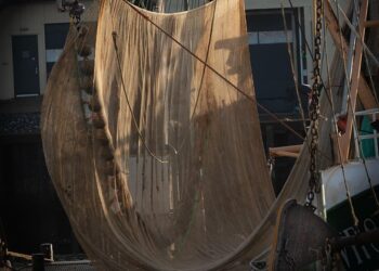 7 Surprising Psychological Benefits of Tracking Your Net Worth You Didn’t Know About