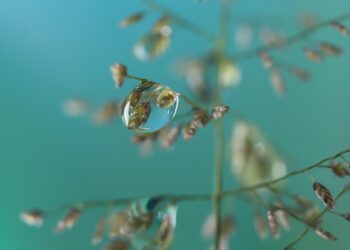 (A listicle focusing on foundational habits that promote financial peace.)