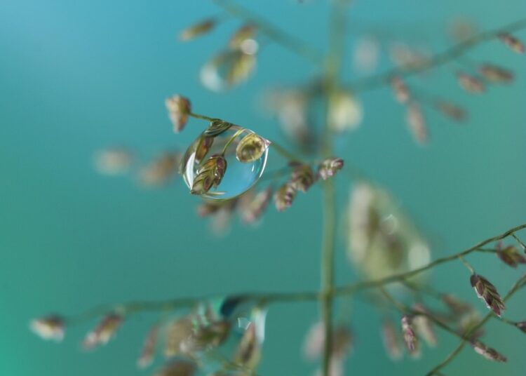 (A listicle focusing on foundational habits that promote financial peace.) (A listicle focusing on foundational habits that promote financial peace.)