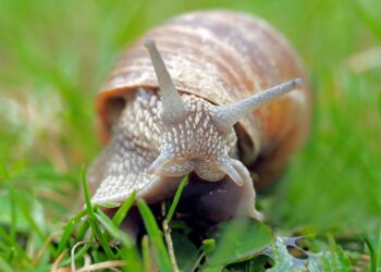 Explore practical strategies to manage your finances mindfully and sustainably.