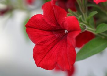 Feeling Stuck? Here’s How to Break Free from One More Year Syndrome