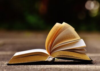 From Passion to Profit: How to Transform Your Hobby into a Sustainable Side Hustle