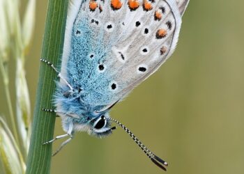 How to Achieve Your Most Common Financial Goals: A Step-by-Step Guide