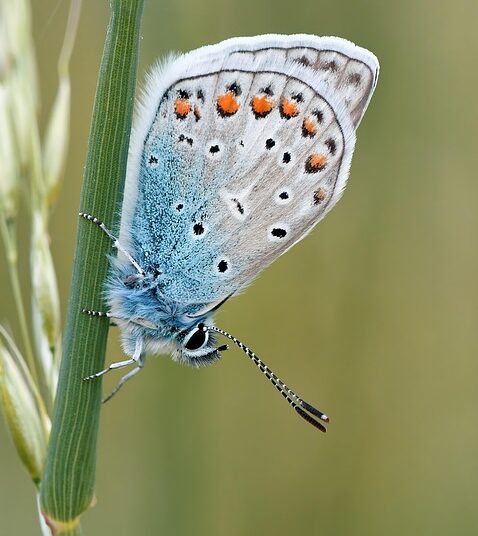 How to Achieve Your Most Common Financial Goals: A Step-by-Step Guide