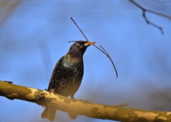 How to Build Wealth: 5 Common Mistakes That Could Be Holding You Back