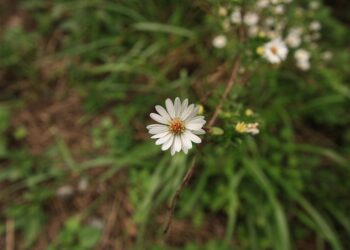 How to Build Wealth: What Are Some Passive Side Hustles That Work?