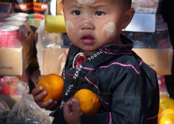 How to Choose the Best Stock Market Simulator: Essential Features to Look For