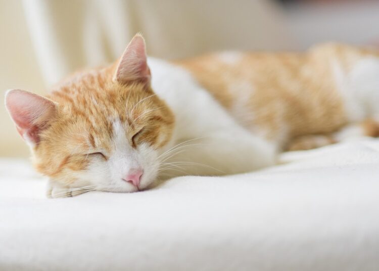 How to Feel Good About Money: A Step-by-Step Guide to Financial Confidence How to Feel Good About Money: A Step-by-Step Guide to Financial Confidence