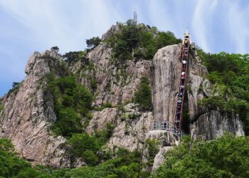 How to Maximize Your First Paycheck: A Step-by-Step Guide