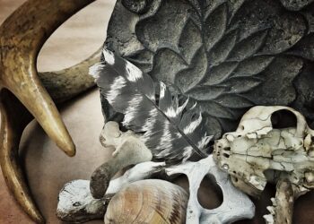 How to Negotiate a Pay for Delete: A Step-by-Step Guide for Debtors