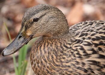 How to Spend Less While Living More: Smart Tips for Everyday Savings