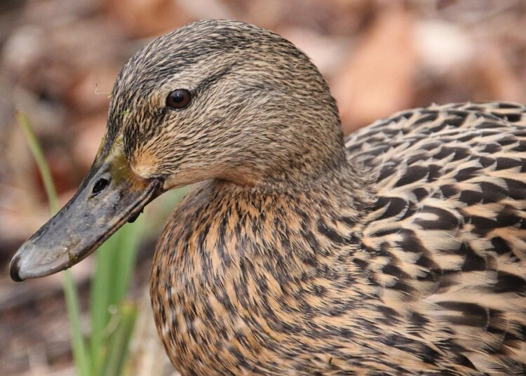 How to Spend Less While Living More: Smart Tips for Everyday Savings