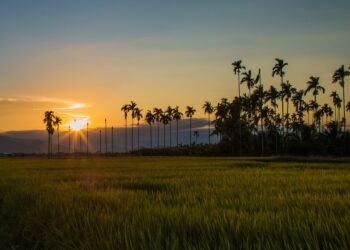 How to Track Your Expenses for Free: A Step-by-Step Guide Using Apps