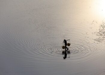 How to Transform Your Space: 7 Budget-Friendly Home Organization Hacks