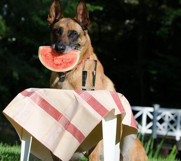 How to Use Psychology to Master Your Budget: 7 Tricks That Actually Work