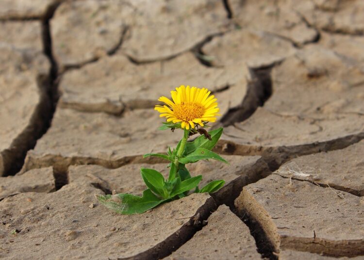 (How-to guide) (How-to guide)