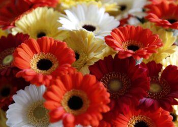 Is Your Money Just Sitting There? How to Make It Work for You Today!