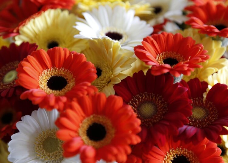 Is Your Money Just Sitting There? How to Make It Work for You Today! Is Your Money Just Sitting There? How to Make It Work for You Today!