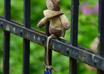 Struggling with Money Management? Download Our Personal Finance for Dummies PDF for Simple Solutions!