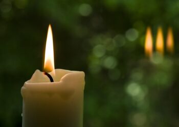 The Trinity Study Explained: 5 Key Takeaways for Your Financial Freedom