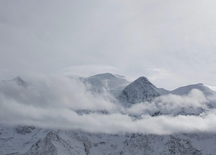 The Ultimate Guide to Investing: Understanding Large-Cap, Mid-Cap, and Small-Cap Stocks