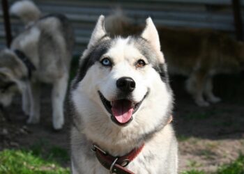 The Ultimate List: 10 Different Types of Loans Explained