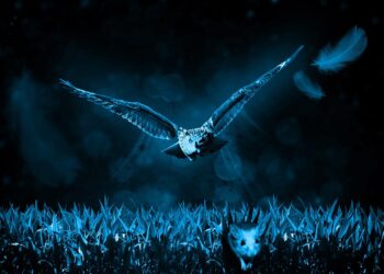 The Ultimate List: 7 Websites That Guarantee You’ll Find Cheap Flights