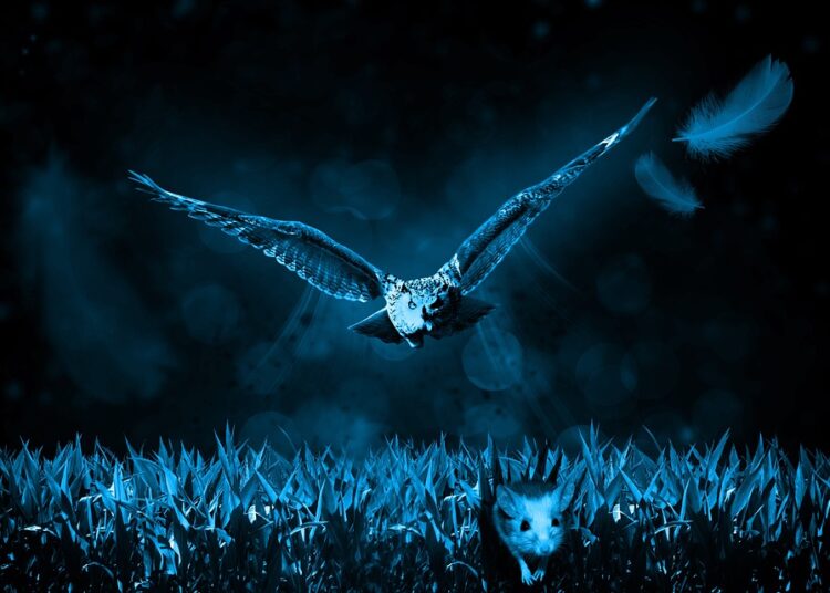 The Ultimate List: 7 Websites That Guarantee You’ll Find Cheap Flights