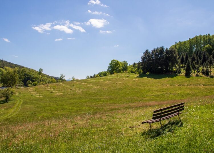 Top 5 Benefits of Opening a Bank Account for Your Child (And How to Do It)