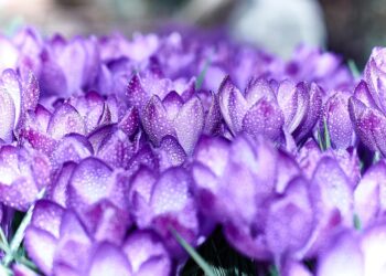 Top 5 Benefits of Smart Beta Targeting: Enhance Your Investment Portfolio Today!