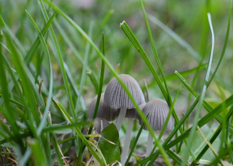 Top 5 Benefits of Using Experian Boost: How to Improve Your Credit Score Today Top 5 Benefits of Using Experian Boost: How to Improve Your Credit Score Today