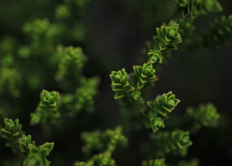 Top 5 Dividend ETFs to Boost Your Investment Portfolio in 2023 Top 5 Dividend ETFs to Boost Your Investment Portfolio in 2023