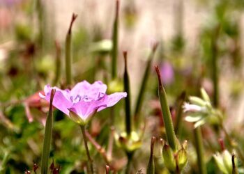 Top 5 Mistakes to Avoid When Trying to Eliminate PMI from Your Loan