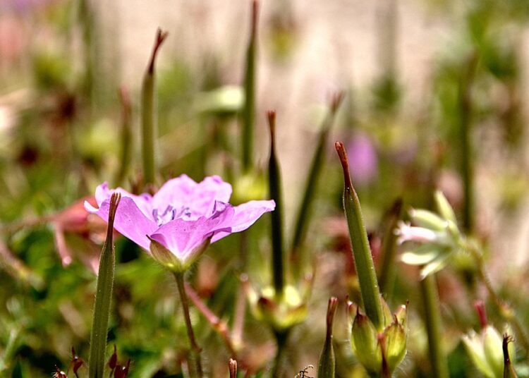 Top 5 Mistakes to Avoid When Trying to Eliminate PMI from Your Loan Top 5 Mistakes to Avoid When Trying to Eliminate PMI from Your Loan