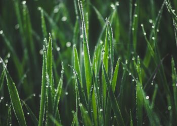 Top 5 Reasons Why Beginners Should Consider Leveraged ETFs for Targeted Growth