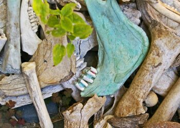 Top 5 Reasons You Need a Bare-Bones Emergency Fund Today