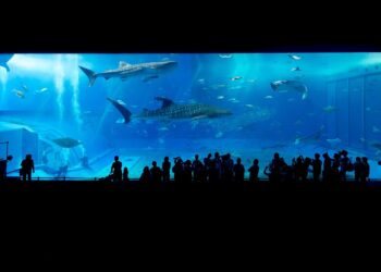 Top 5 Signs You’re Dealing with a Loan Shark: How to Protect Yourself from Predatory Lending