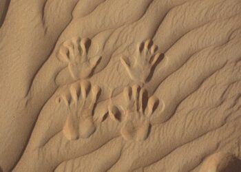 Top 5 Tools to Help You Easily Track Cryptocurrency in Your Net Worth