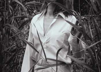 Top 7 HYSAs with Sign-Up Bonuses: Boost Your Savings Effectively