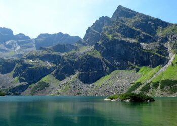 Top 7 Joint High-Yield Savings Accounts: Maximize Your Savings Together!