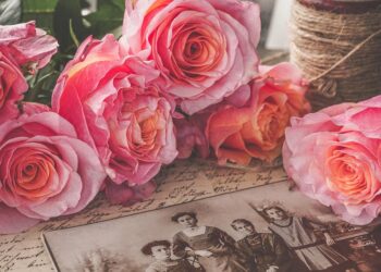 Top 7 Robo-Advisors for Beginners: Your Path to Effortless Investing