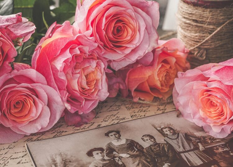 Top 7 Robo-Advisors for Beginners: Your Path to Effortless Investing