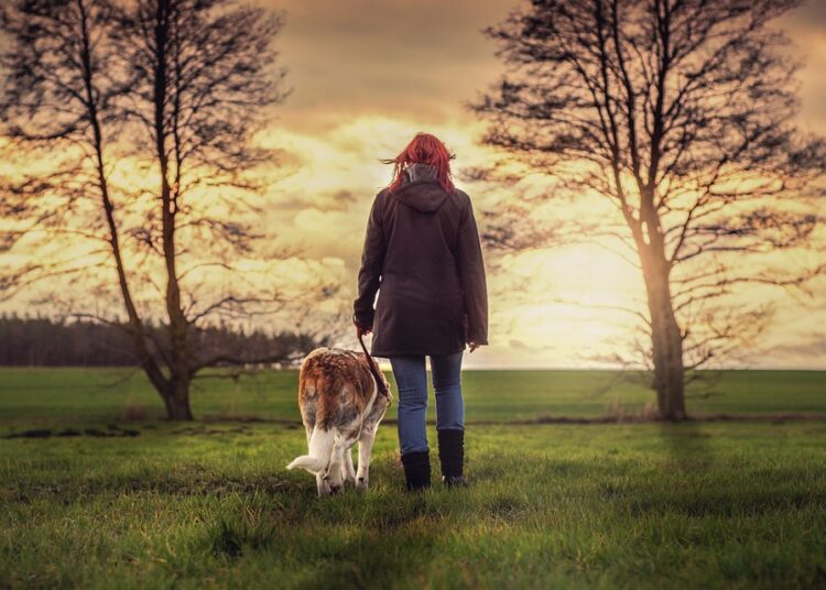 Top 7 Robo-Advisors for IRA Targeting: Maximize Your Retirement Savings